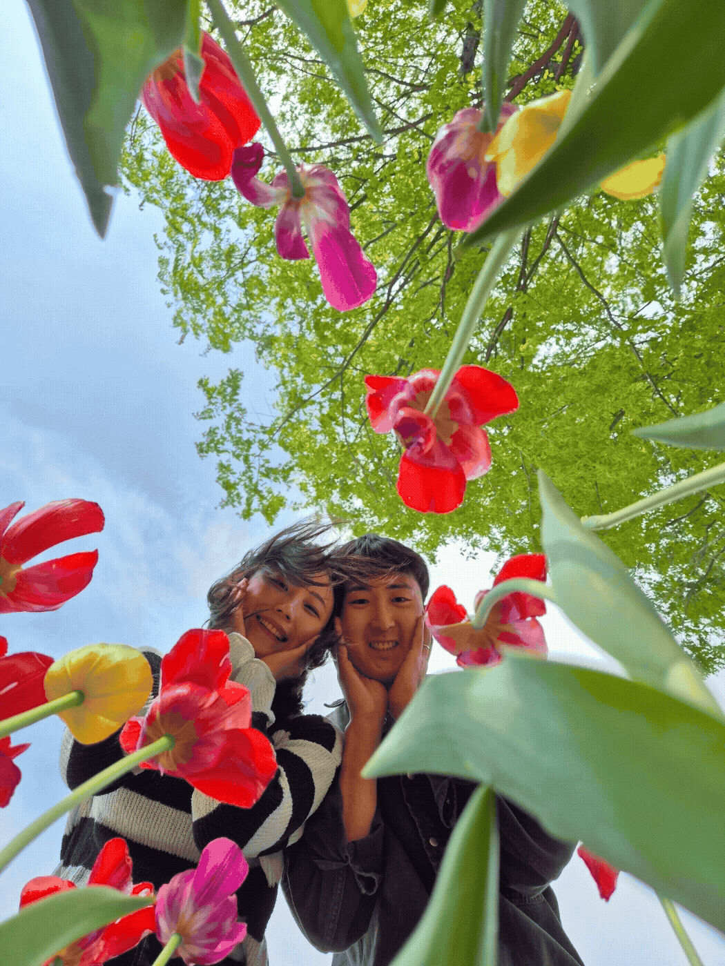 Main Wedding Image